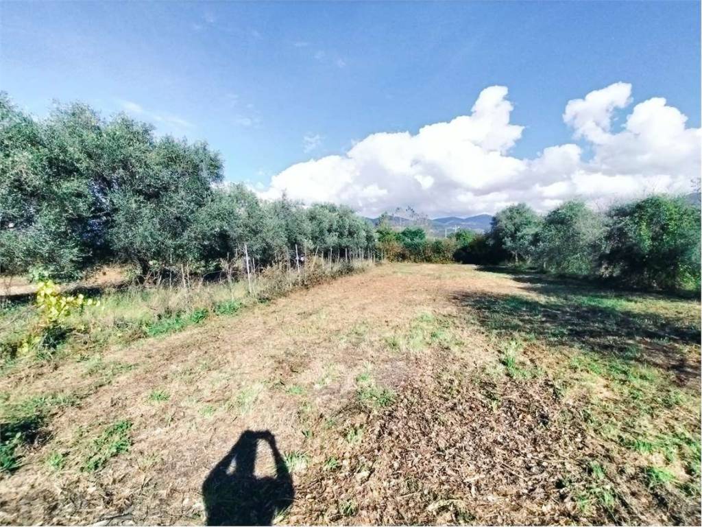 Terreno a Luni - Foto 4