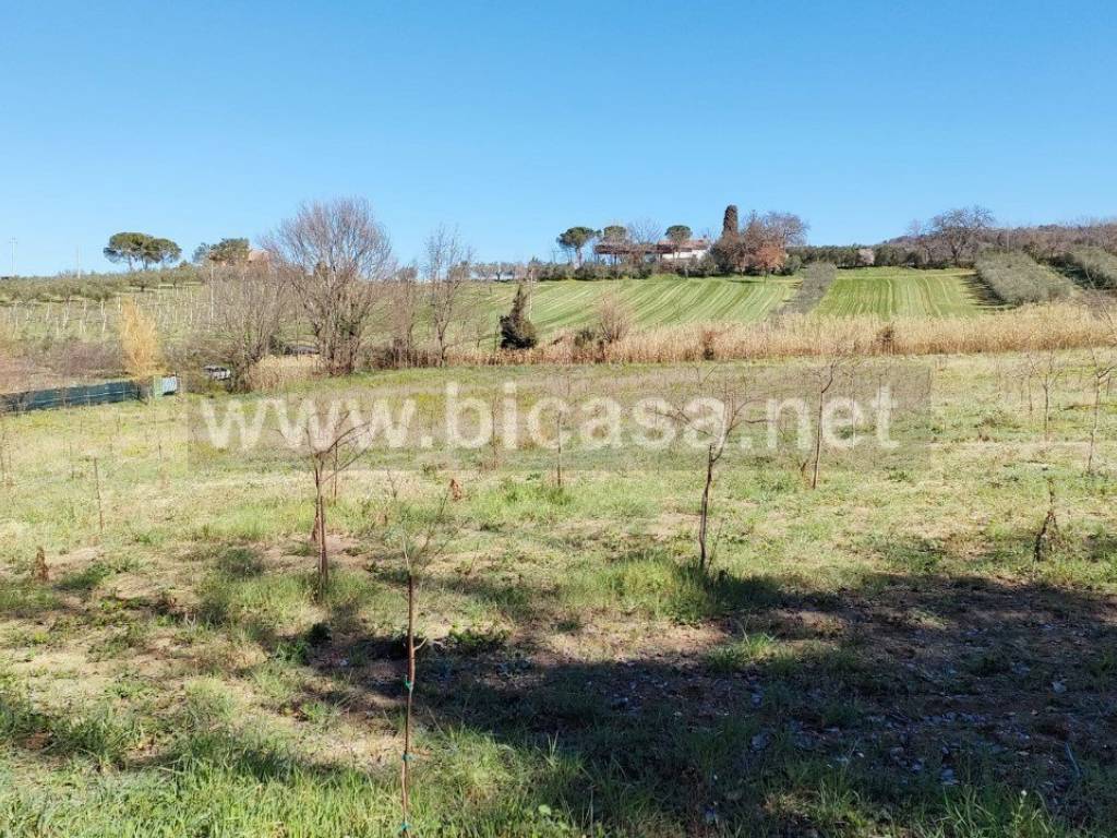 Terreno a Pesaro - Foto 2