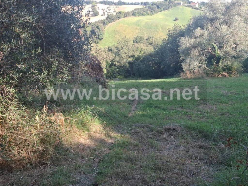 Terreno a Pesaro - Foto 2