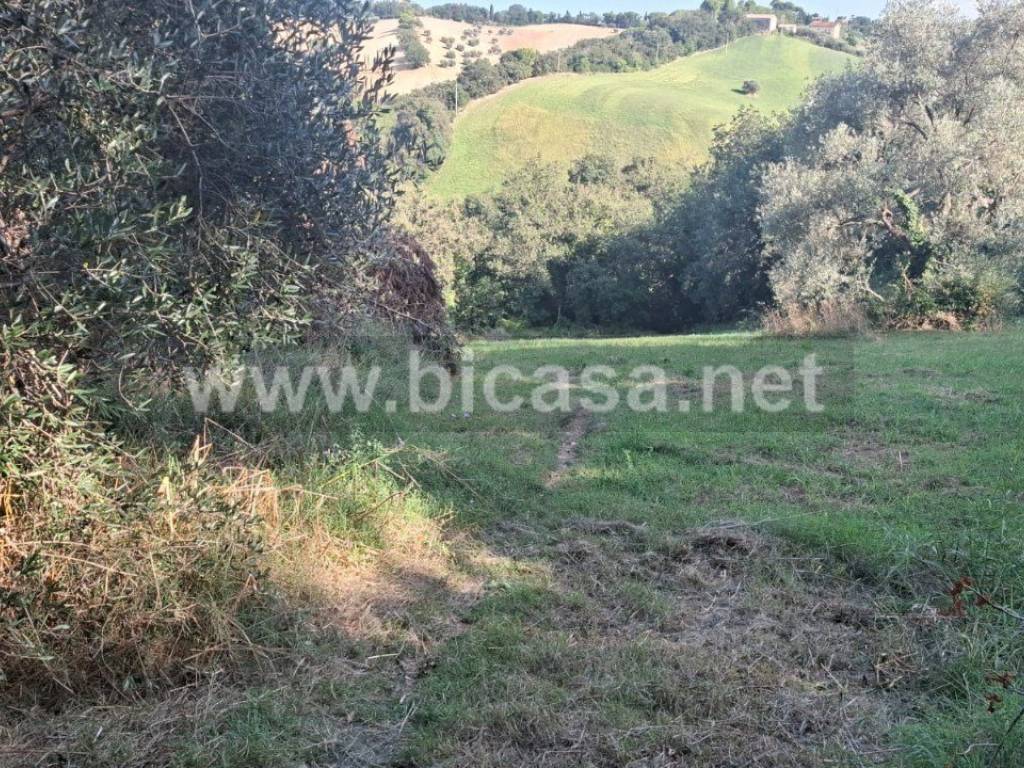 Terreno a Pesaro - Foto 3