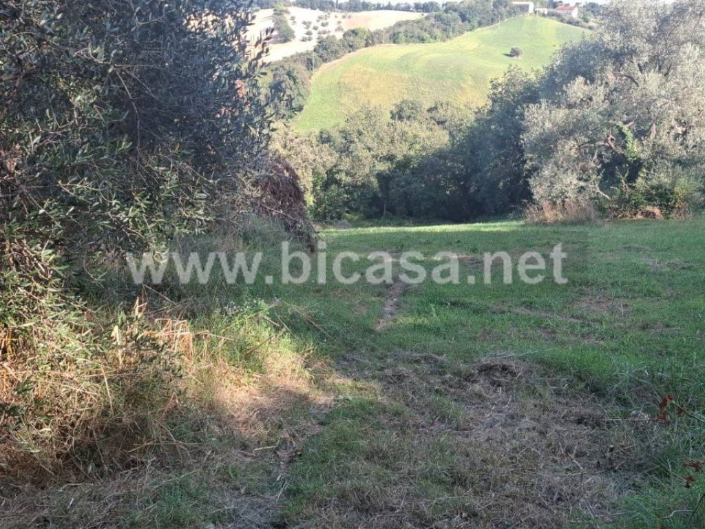 Terreno a Pesaro - Foto 4