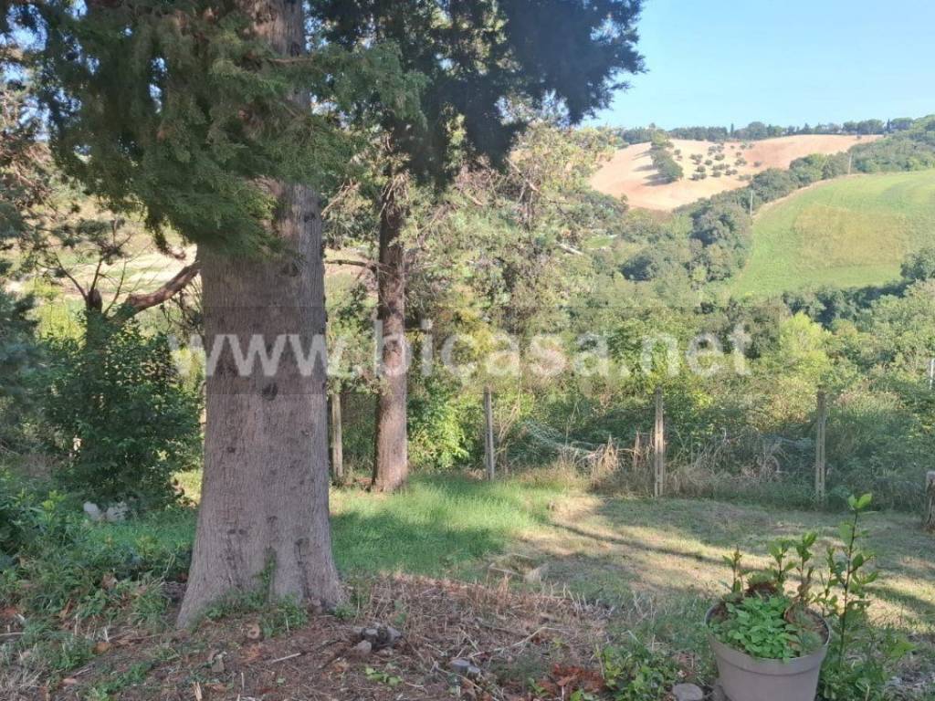 Terreno a Pesaro - Foto 5