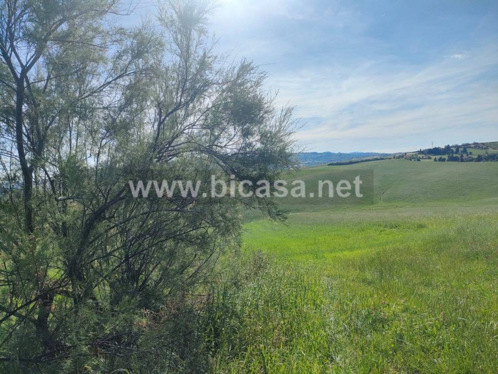 Terreno a Vallefoglia in Via Re dei gatti - Foto 2