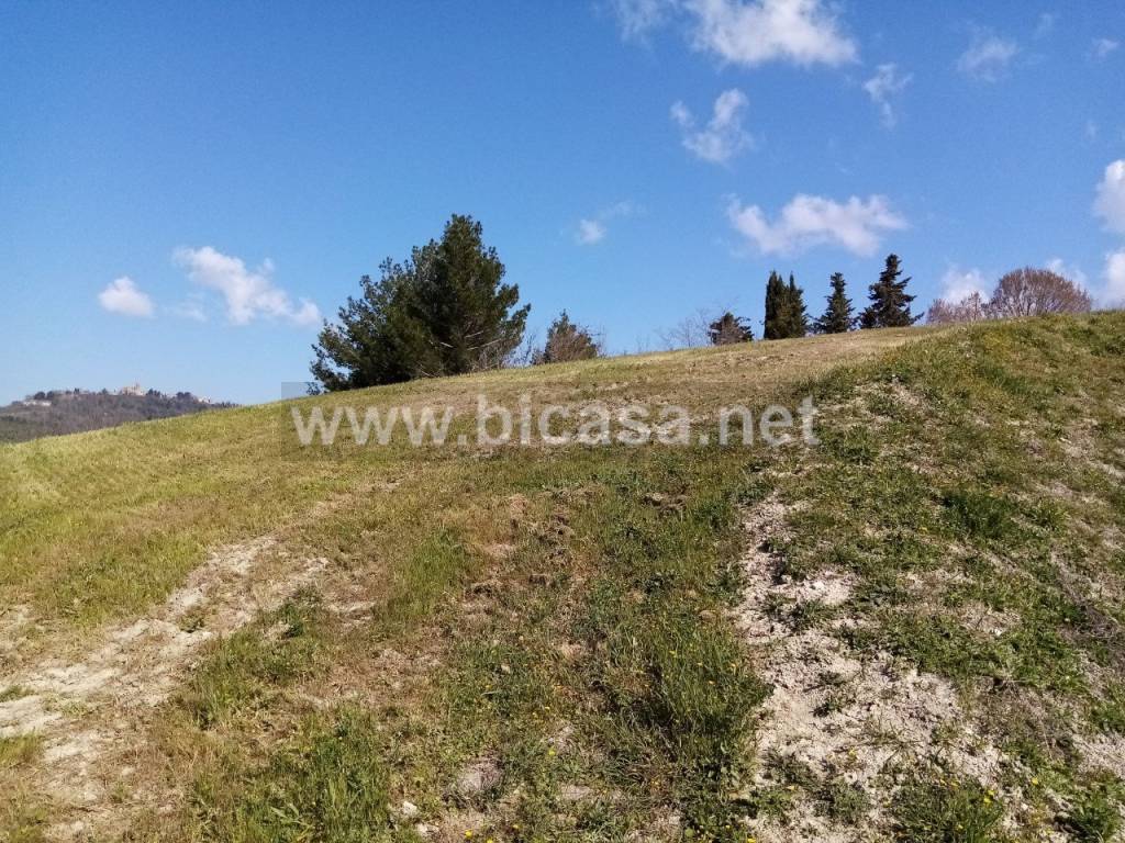 Terreno a Tavullia in strada fonti - Foto 4