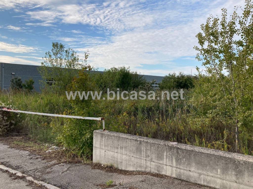 Terreno a Tavullia - Foto 2