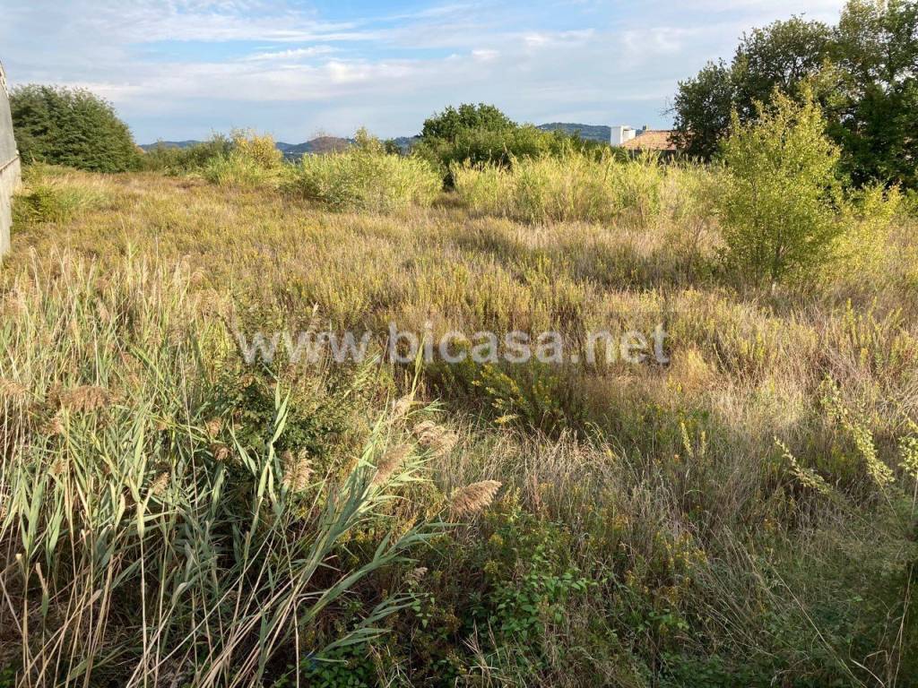 Terreno a Tavullia - Foto 3