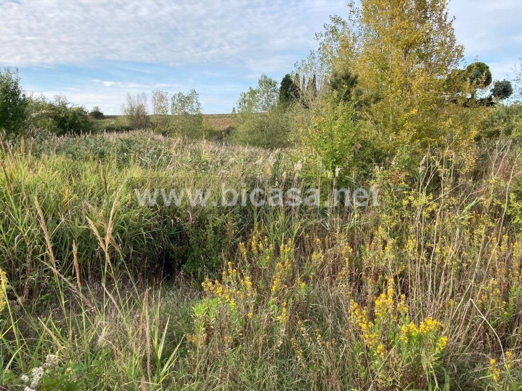 Terreno a Tavullia - Foto 5