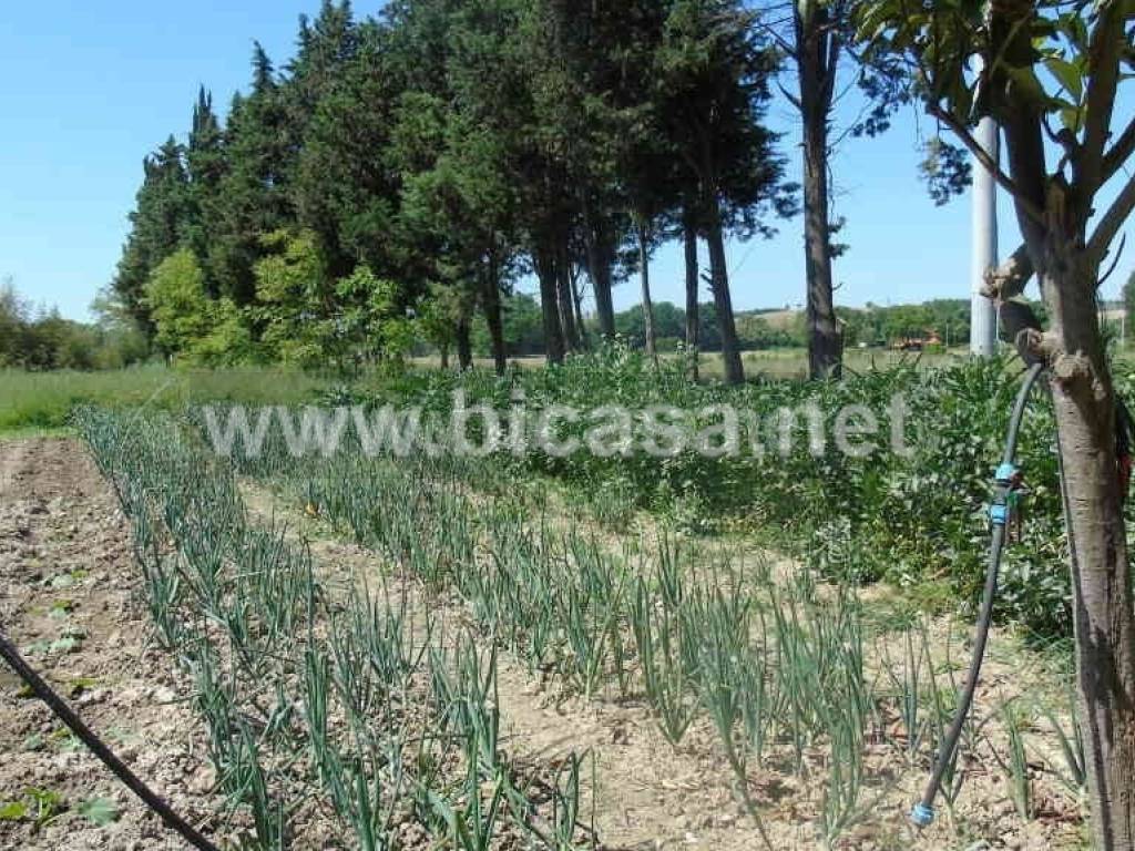 Immobile a Pesaro - Foto 2