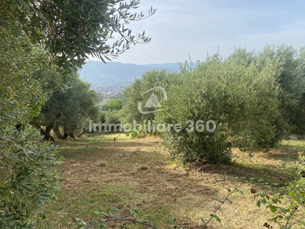 Terreno a Dipignano in Via Specola - Foto 3