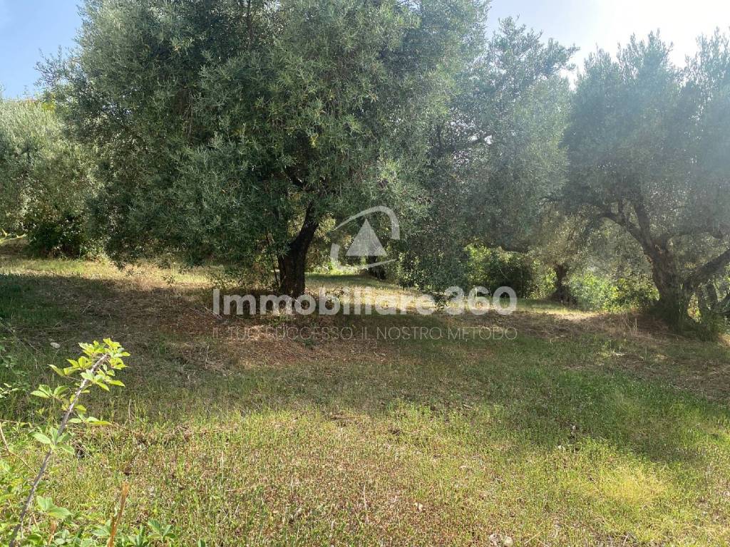 Terreno a Dipignano in Via Specola - Foto 4