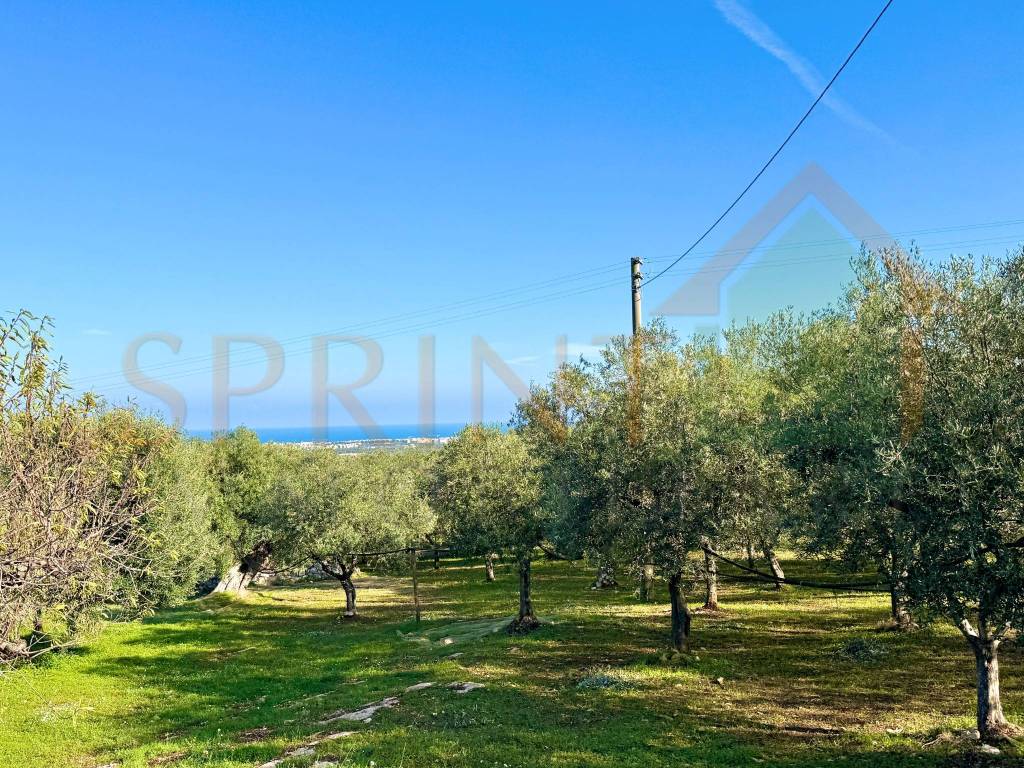 Terreno a Monopoli in Contrada San Vincenzo - Foto 2
