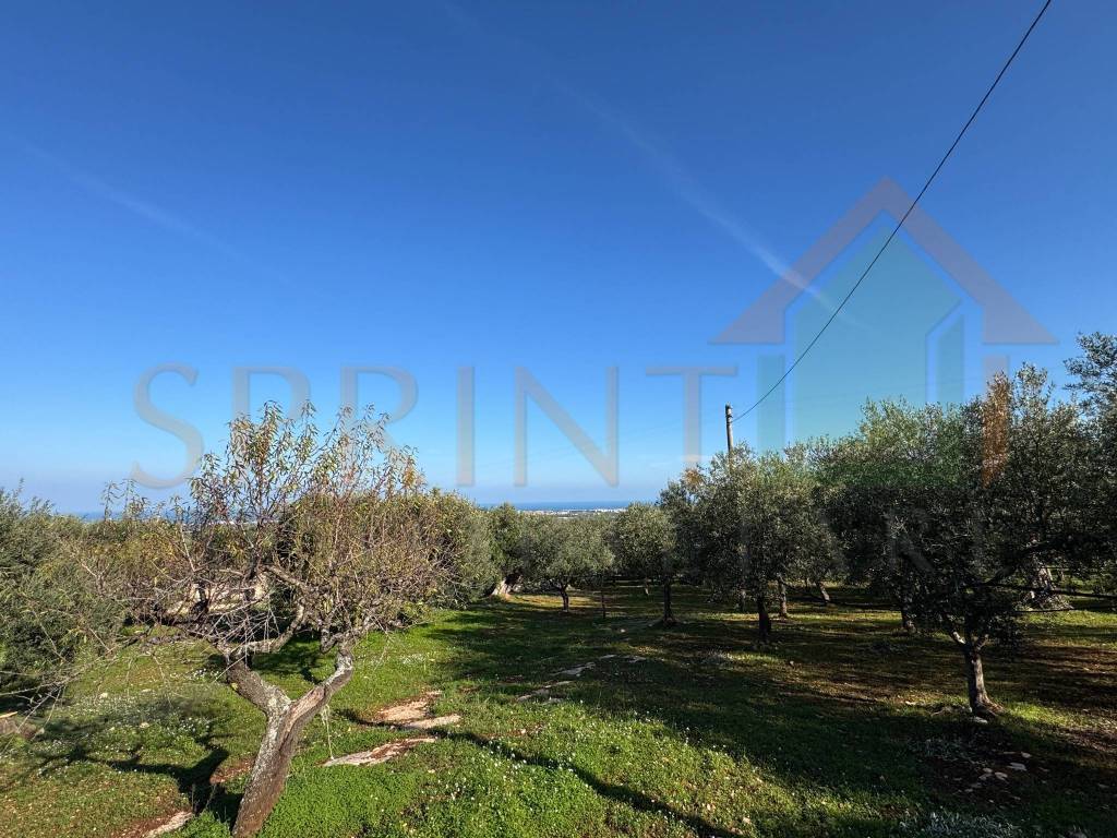 Terreno a Monopoli in Contrada San Vincenzo - Foto 3