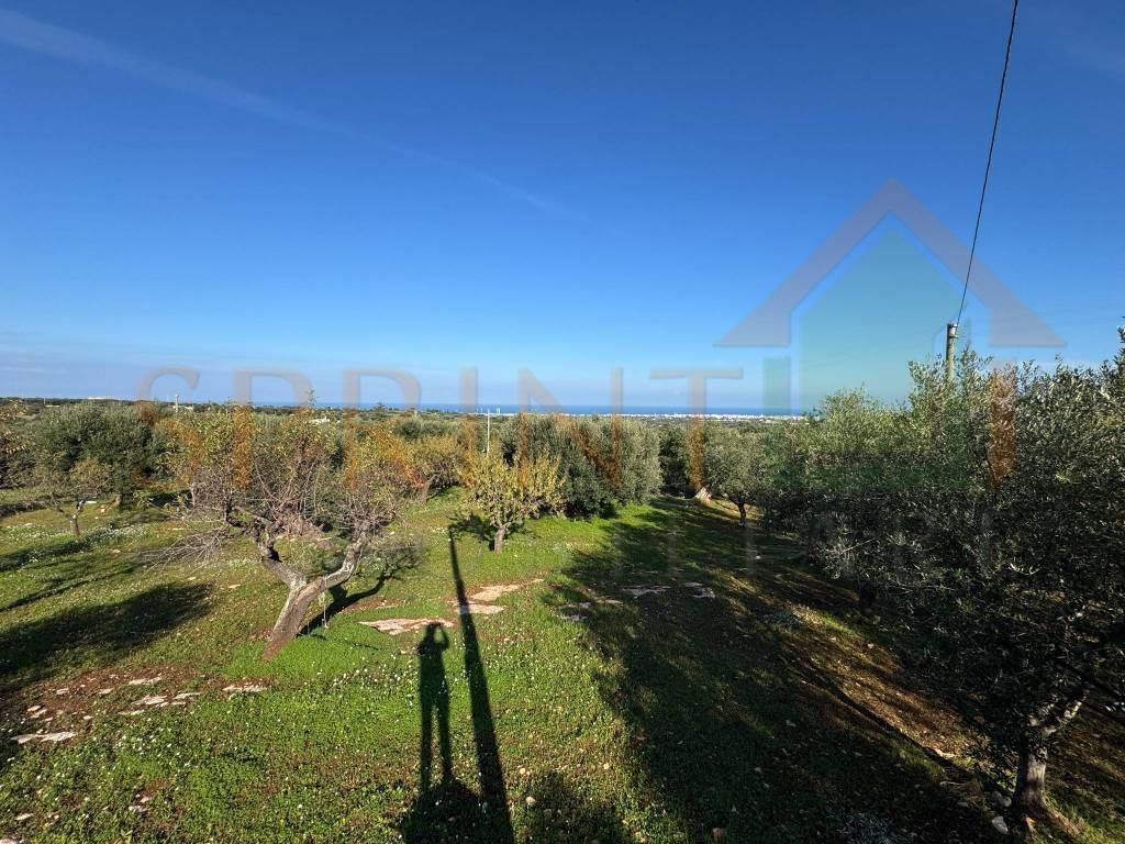 Terreno a Monopoli in Contrada San Vincenzo - Foto 4