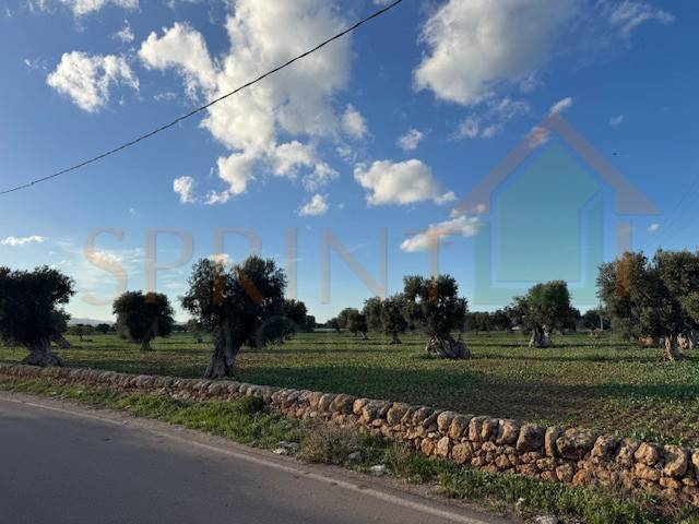 Terreno a Monopoli in Contrada Egnazia - Foto 2