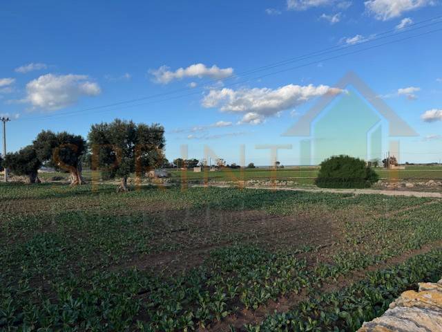 Terreno a Monopoli in Contrada Egnazia - Foto 3
