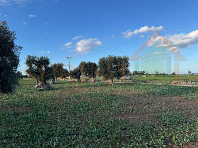 Terreno a Monopoli in Contrada Egnazia - Foto 4