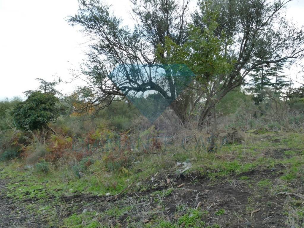 Terreno a Pedara in Via Messina - Foto 4