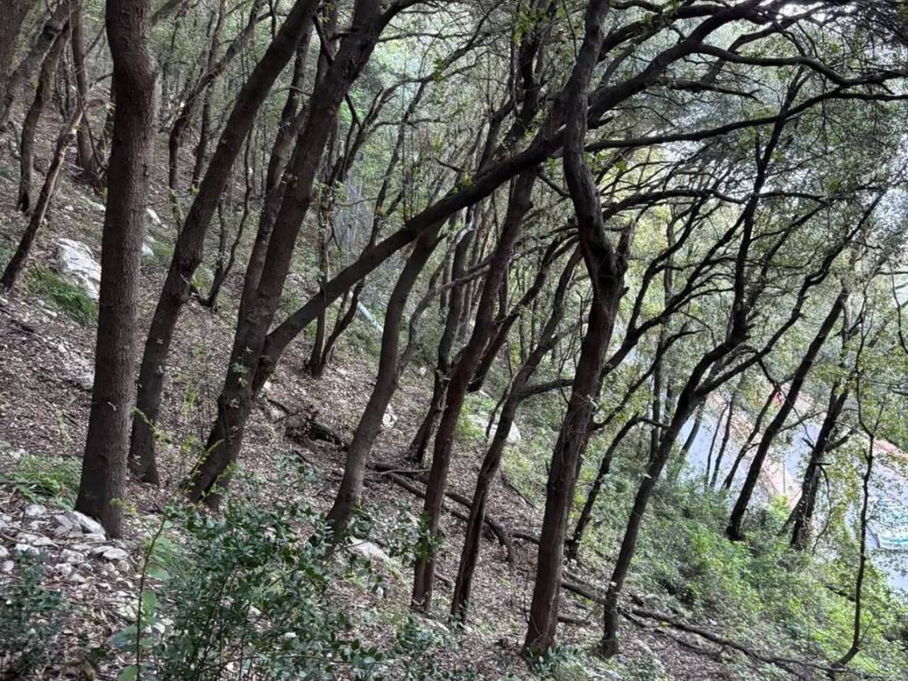 Terreno a Capri in Via Provinciale Anacapri, 83 - Foto 2