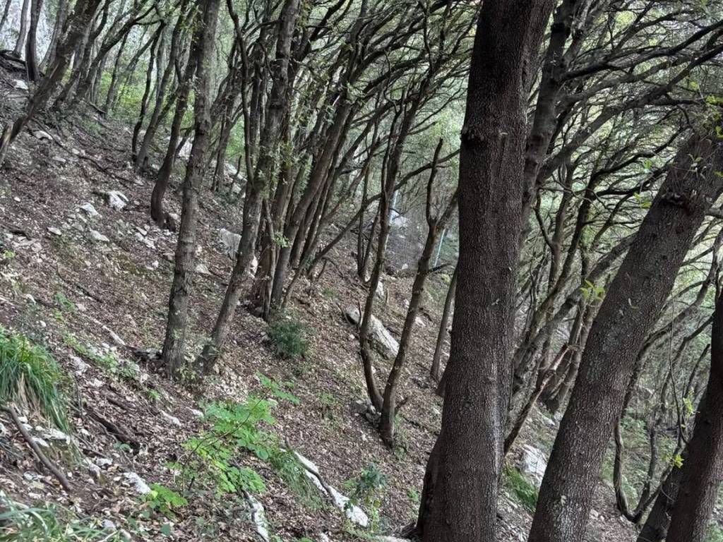 Terreno a Capri in Via Provinciale Anacapri, 83 - Foto 4