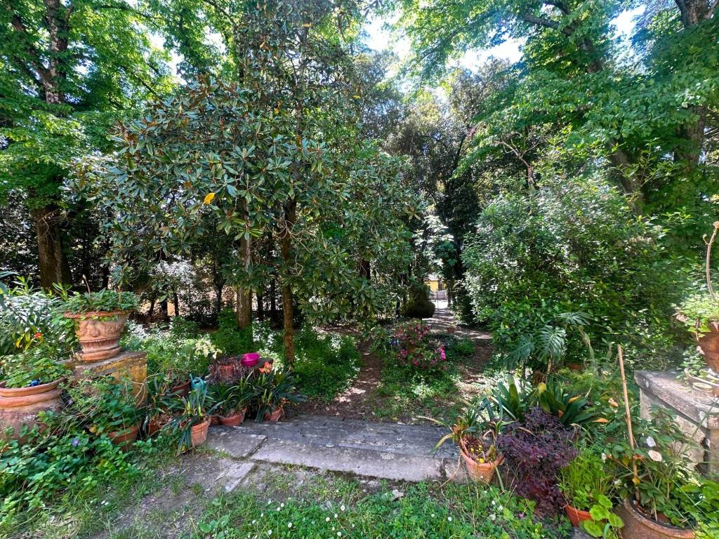 Appartamento a Fiesole in Via Benedetto da Maiano - Foto 4