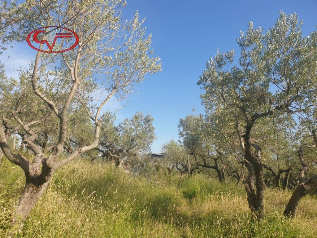 Terreno a Montevarchi in Via di Ricasoli - Foto 3