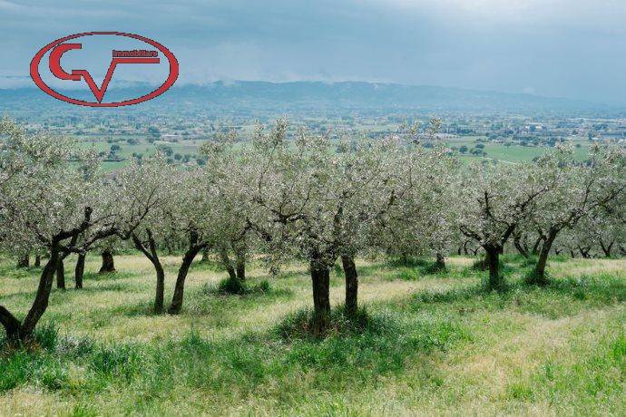 Terreno a Montevarchi in Via di Ricasoli - Foto 4