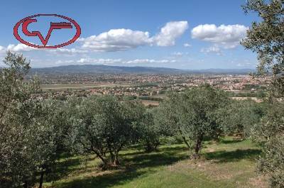 Terreno a Montevarchi in Via di Ricasoli - Foto 5