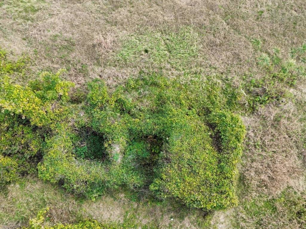 Terreno a Orte in San Michele - Foto 3