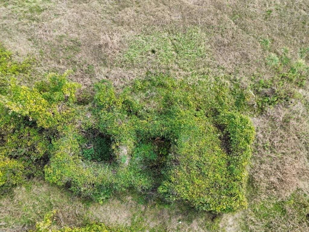 Terreno a Orte in San Michele - Foto 4