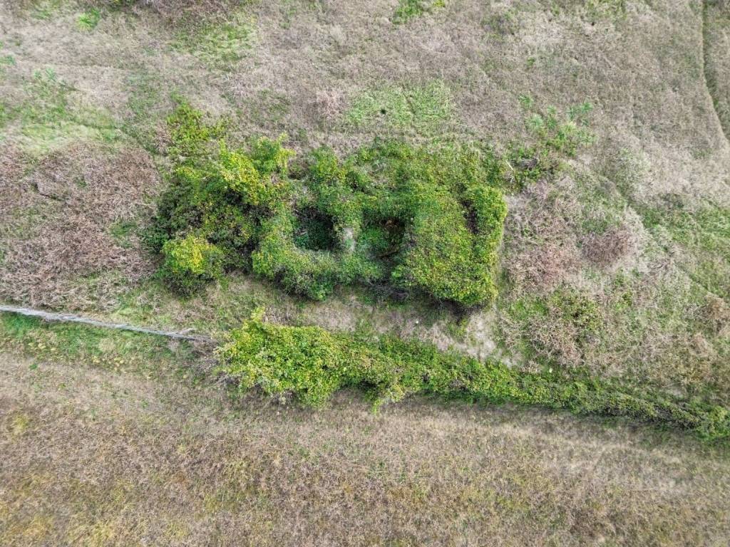 Terreno a Orte in San Michele - Foto 5