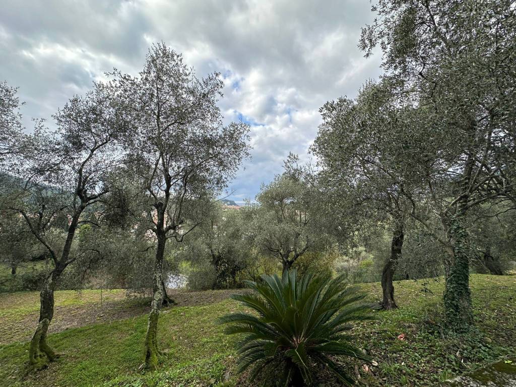Appartamento a Sestri levante in Via Domenico Mori, 37 - Foto 5