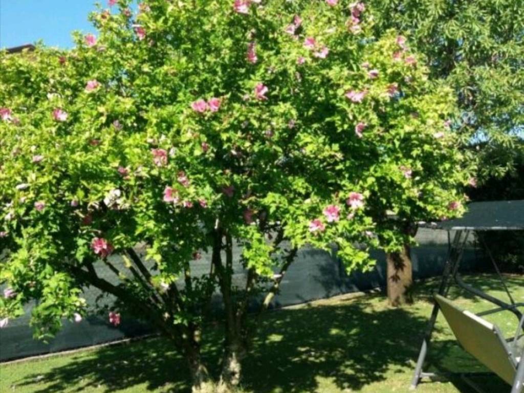 Rustico / casale a Sarzana - Foto 2