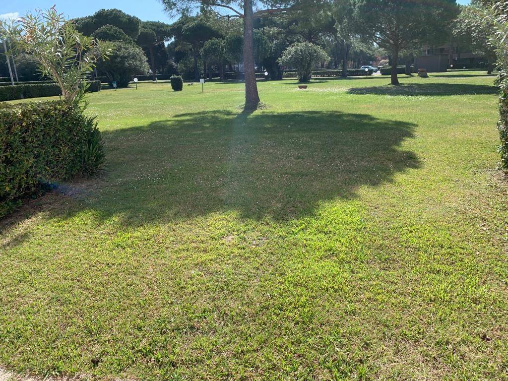 Appartamento a Bibbona - Foto 2