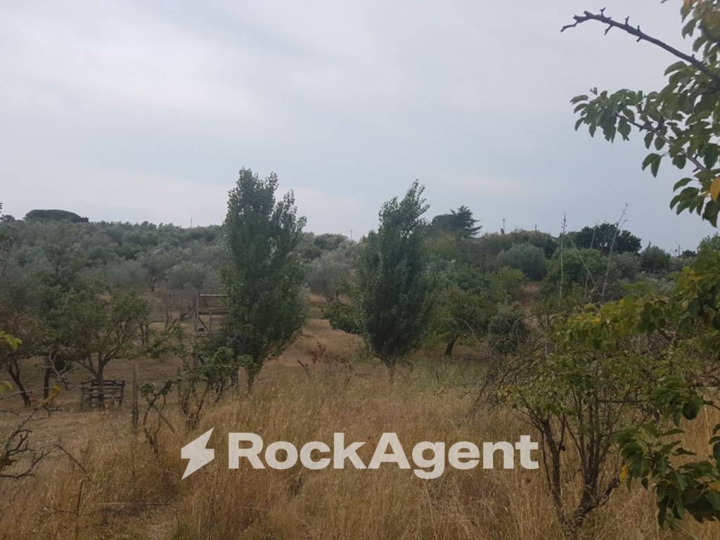 Terreno a Viterbo in Via Sasso San Pellegrino - Foto 3