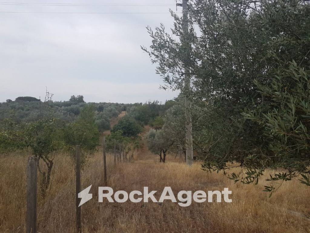 Terreno a Viterbo in Via Sasso San Pellegrino - Foto 4