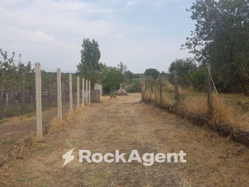 Terreno a Viterbo in Via Sasso San Pellegrino - Foto 5