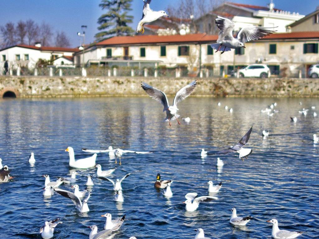 Appartamento a Verona in Ponte del Risorgimento - Foto 3