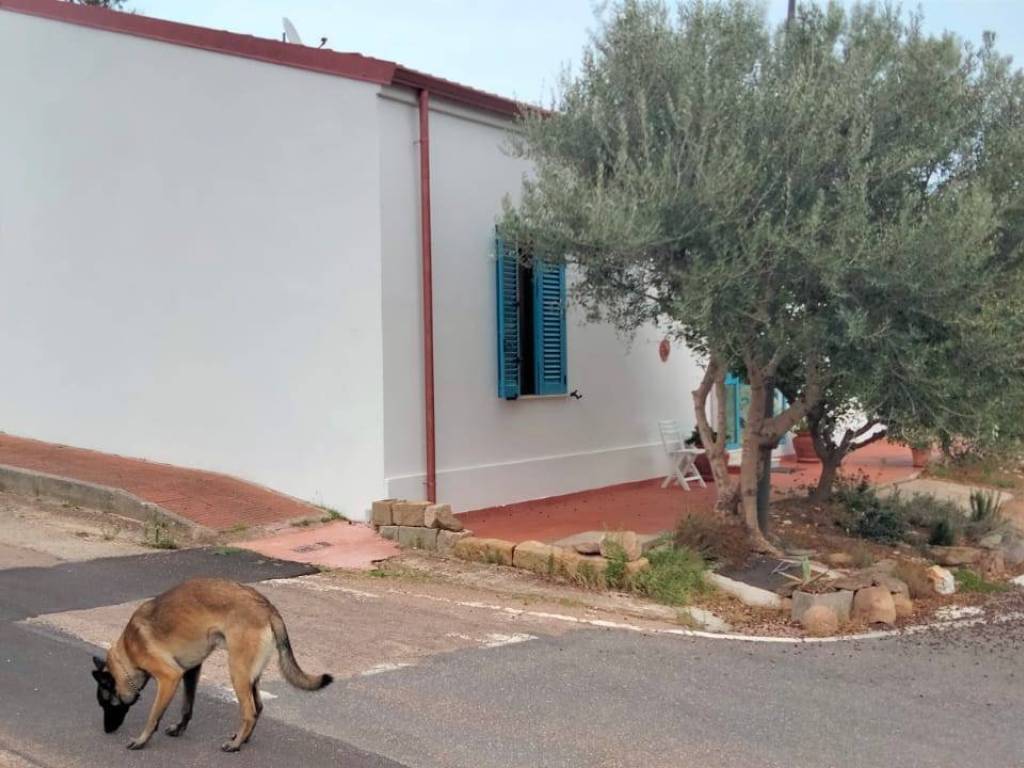 Casa indipendente a Viddalba in fraz Giuncana - Foto 5