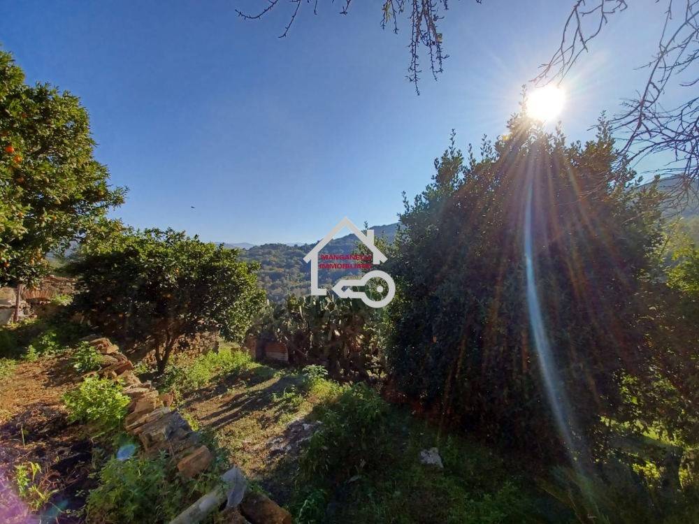 Rustico / casale a Lustra in Contrada Monacelli, 6 - Foto 2