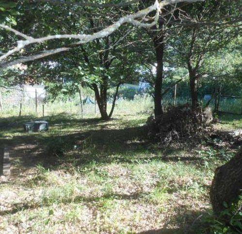 Terreno a Sambuca pistoiese in Località Pavana - Foto 2