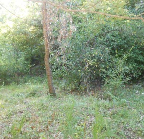 Terreno a Sambuca pistoiese in Località Pavana - Foto 3