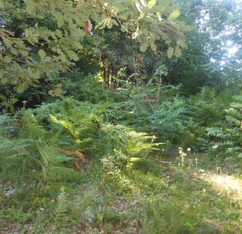 Terreno a Sambuca pistoiese in Località Pavana - Foto 4