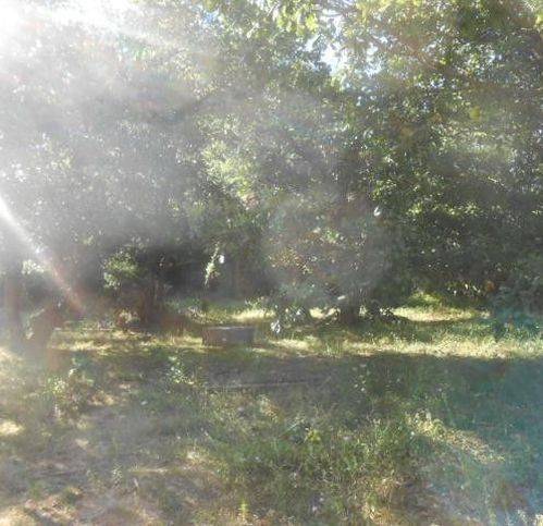 Terreno a Sambuca pistoiese in Località Pavana - Foto 5