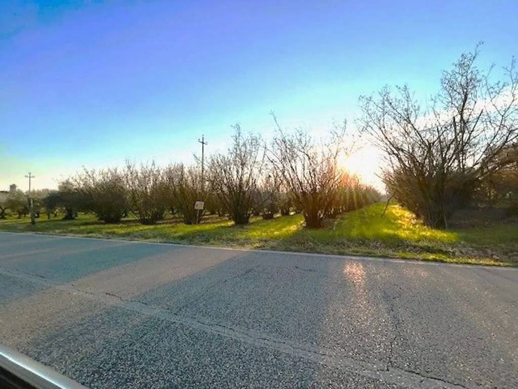 Terreno a Bassano in teverina in Via Ortana, Km 11 - Foto 2