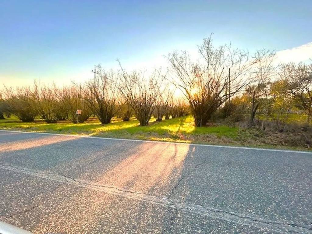 Terreno a Bassano in teverina in Via Ortana, Km 11 - Foto 3