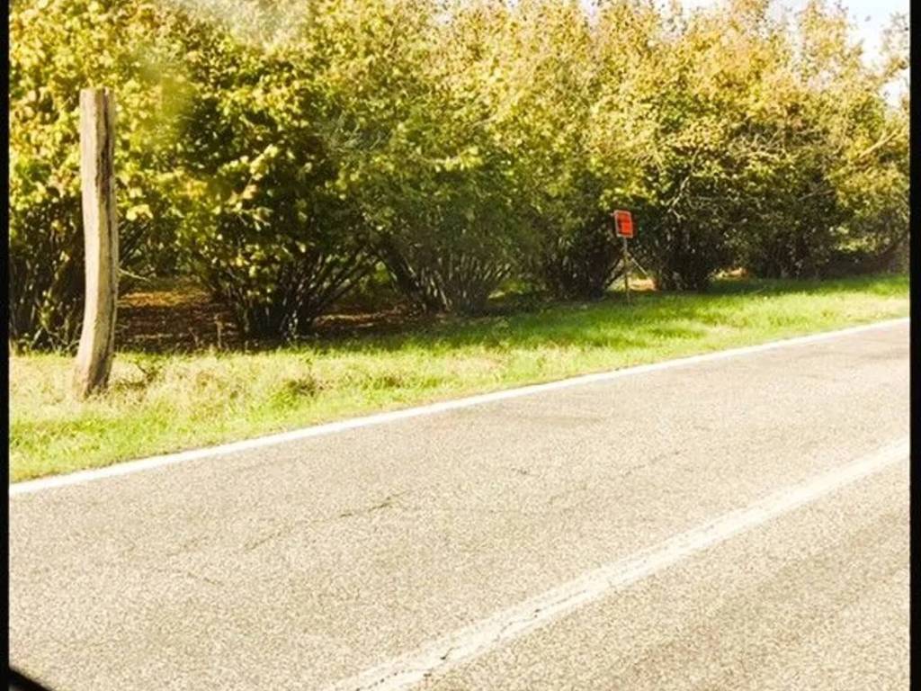 Terreno a Bassano in teverina in Via Ortana, Km 11 - Foto 4