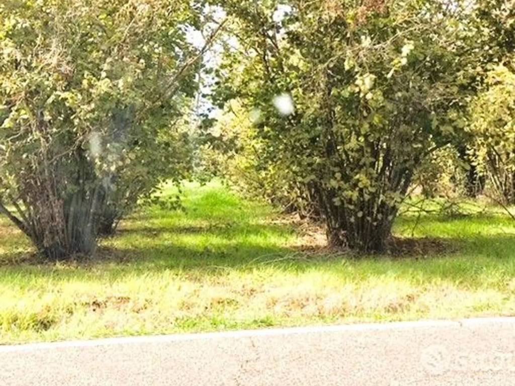 Terreno a Bassano in teverina in Via Ortana, Km 11 - Foto 5