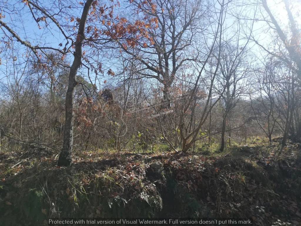 Terreno a Soriano nel cimino in Strada Provinciale Sorianese No Number - Foto 5