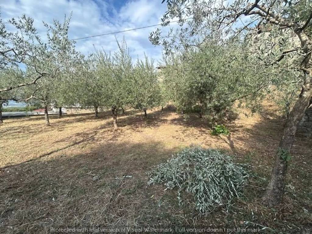 Terreno a Soriano nel cimino in Via Umberto I, 58 - Foto 2