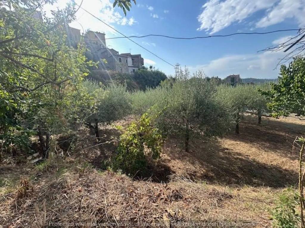 Terreno a Soriano nel cimino in Via Umberto I, 58 - Foto 4